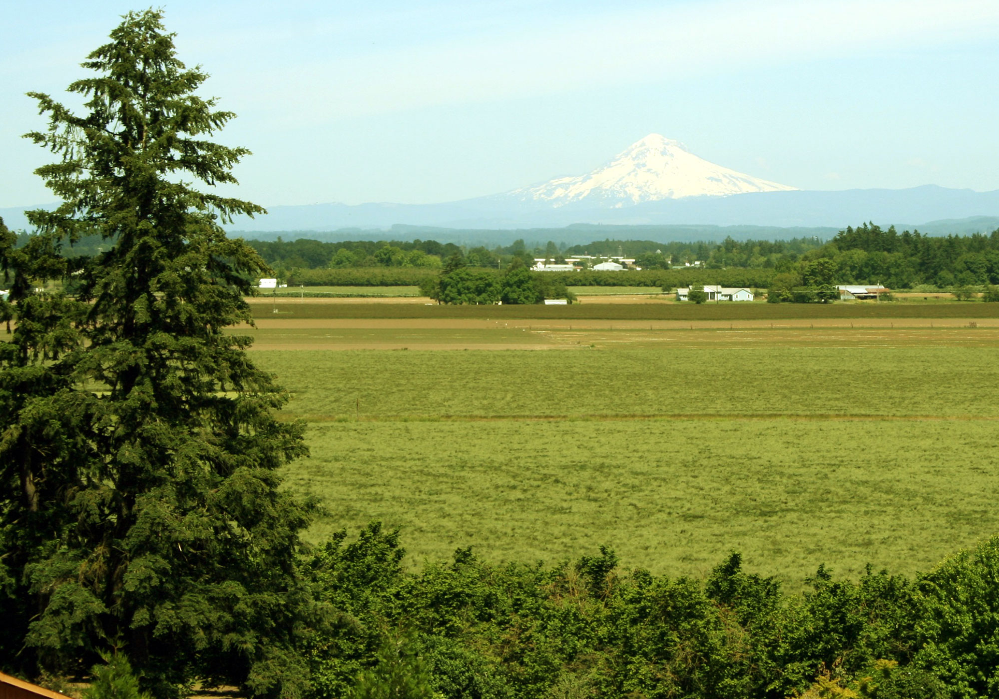A view of French Prairie with Mount Hood in the background (Photo Credit: Ben Williams)